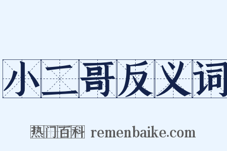 小二哥反义词是什么意思的图片